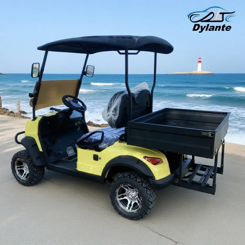 Lithium Battery Powered 2 Seater Electric Golf Cart Customized Disc Brake Wholesale Sale With Rear Cargo Box Point Seatbelt