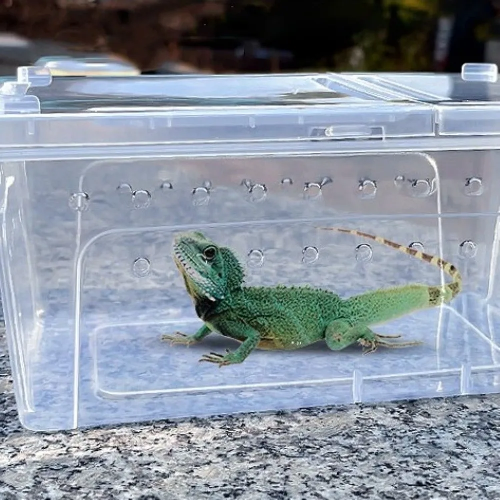 Transparent Reptile Breeding Box Ventilated Stackable Turtle Transport Container Escape-Proof Clear View Animal Habitat Cage
