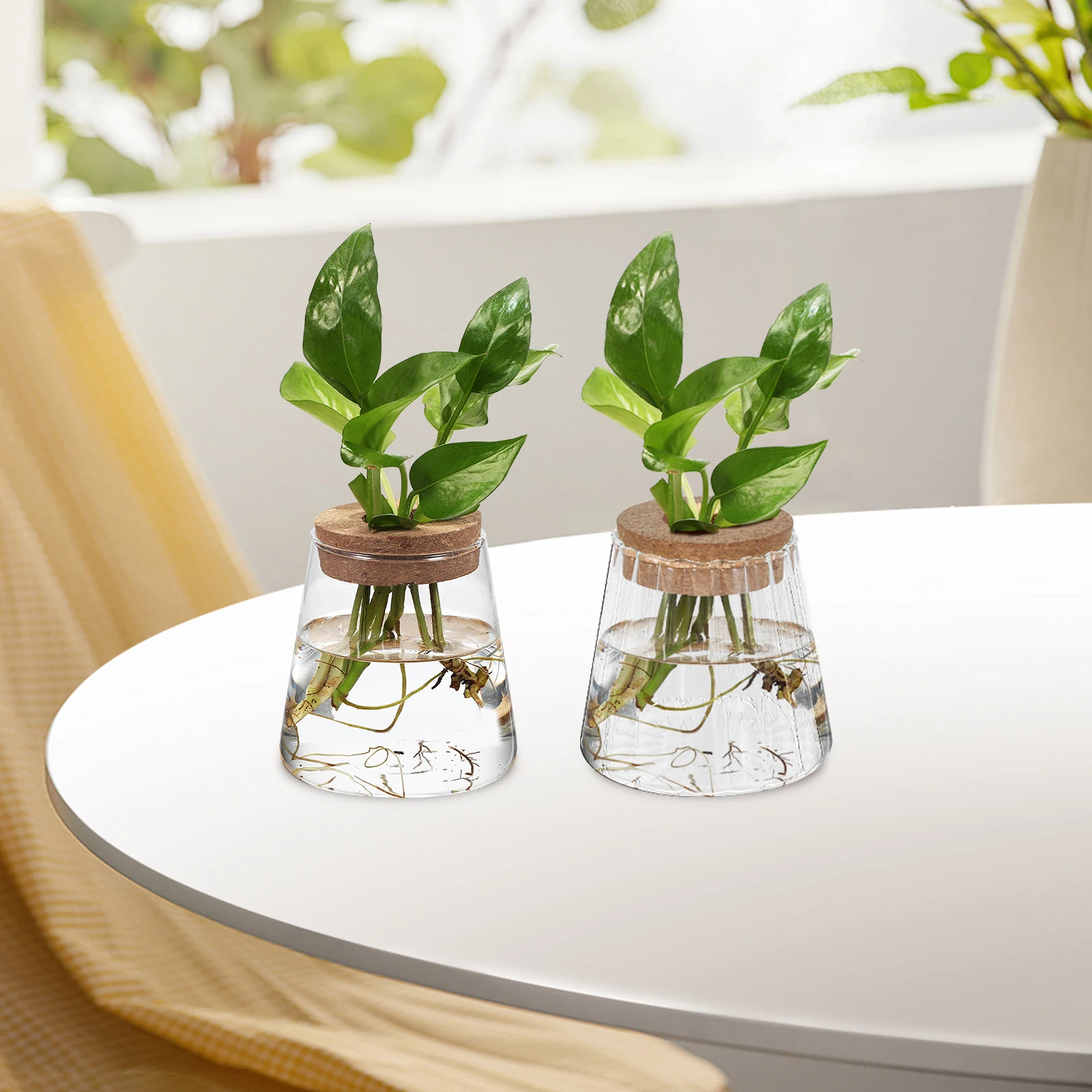 3 قطعة المزهريات انتشار المياه الزجاج الشفاف برطمانات النباتات للبستنة الداخلية سطح المكتب زارع المائية زهرية تررم صغير