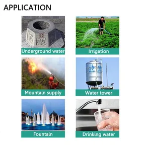 6 Hauptverkaufspumpe gut - №1