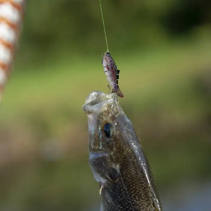 Agua-doce-e-agua-salgada-pesca-iscas-3d-eyed-bait-realista-multi-articulado-rock-boat-lago-rio