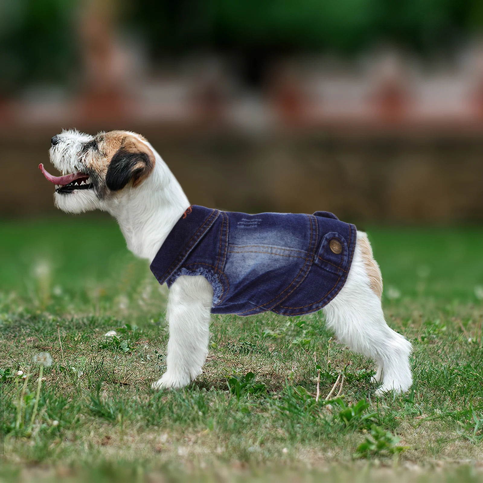 

Pet Vest Dog Vest Dog Vests Clothes Apparel for Bichon Poodle