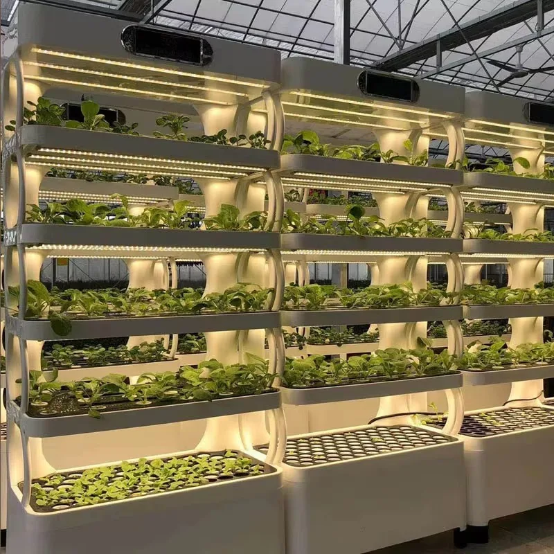 New arrival hydroponic growing system vertical hydroponic system with LED growing lights smart farm