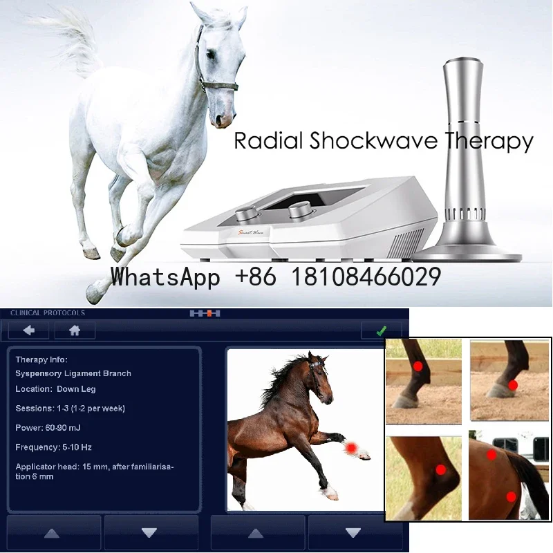 BS-SWT2X  Equine Use Animal& Veterinary Electric Massager Therapy Equipment