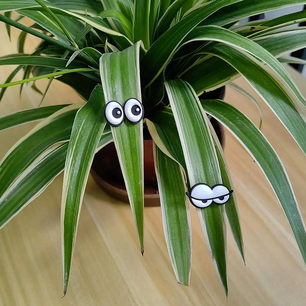 1pcs Cute Plant Magnets Eyes For Potted Plants Decoration Indoor Plant Accessories Plant Lovers Supplies Safety Pin Jewelry