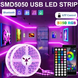 Luces LED Stirp para decoración de habitación, cinta de neón con Bluetooth, RGB, SMD5050, colores, 1m-5m, 10m, 15m, 20m, 30m