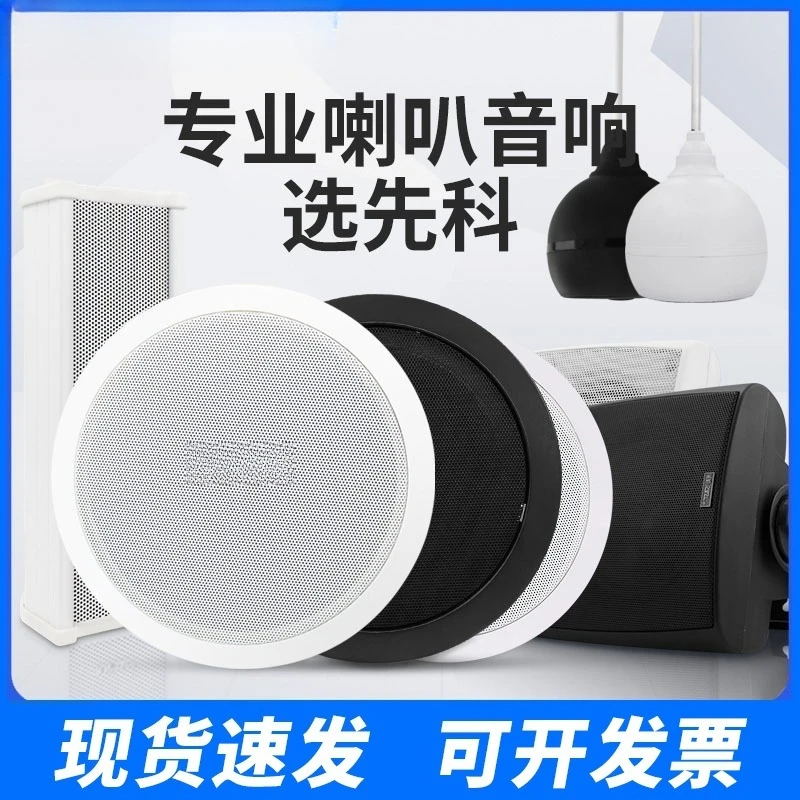 Ceiling Speaker Ceiling Audio Fixed Voltage Background Music Broadcast Speaker