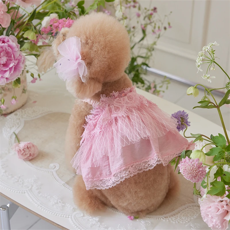 robe-rose-en-dentelle-pour-chien-echarpe-a-volants-robe-rafraichissante-d'ete-taille-moyenne-et-grande-vetements-de-princesse-pour-chien-robe-de-fete