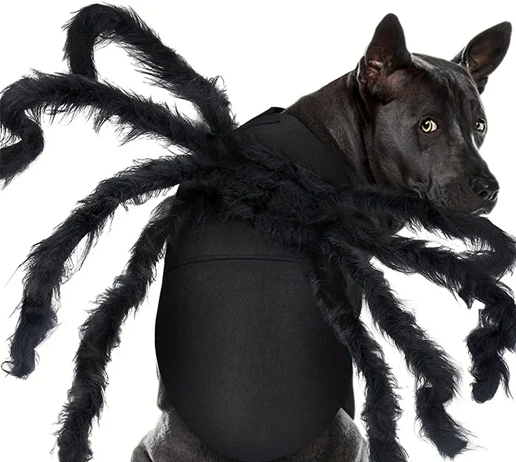 Pet Halloween decorazione imbracatura peluche seta ragno nero grande medio piccolo cane e gatto vestiti divertenti decorazione per animali domestici