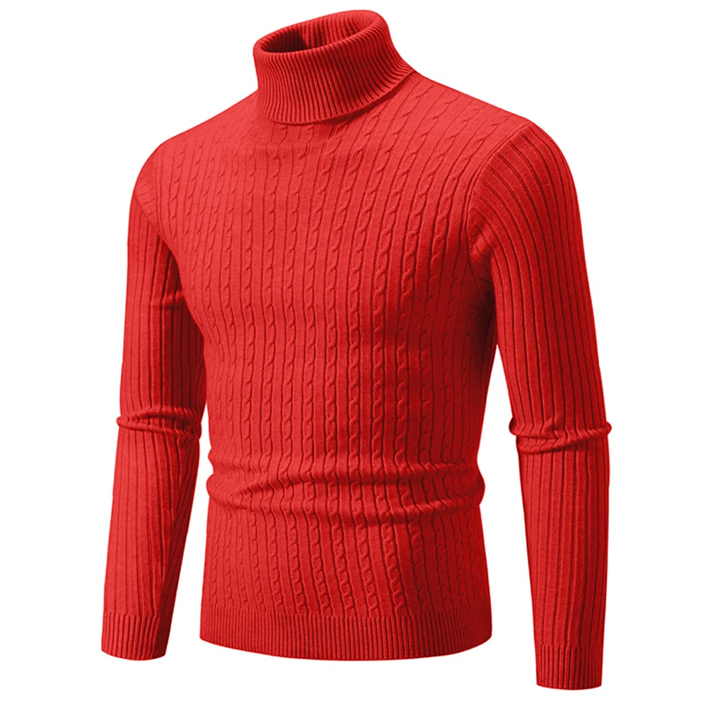 

Top Sweater Polyester Regular Solid Color Turtleneck Sweater Warm Casual Winter Daily For Vacation Comfy Fashion