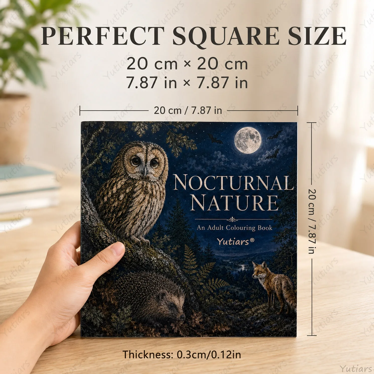 Adult Coloring Book Nocturnal Nature, Detailed Owl Fox Hedgehog Wildlife Illustrations, Single-Sided Pages for Stress Relief