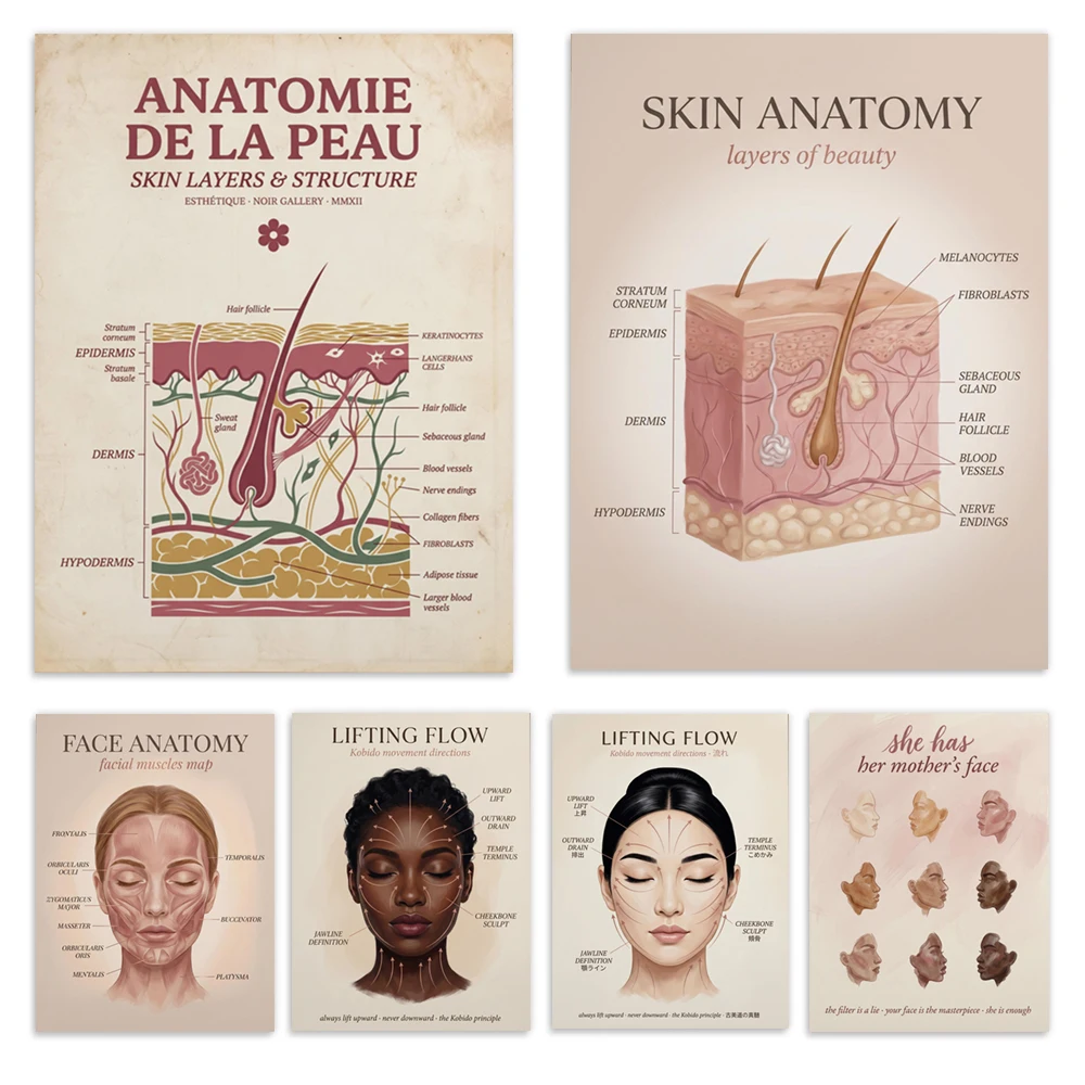 Skin and facial anatomy posters, massage guides, women's wall art, diverse female faces, spa and clinic décor.