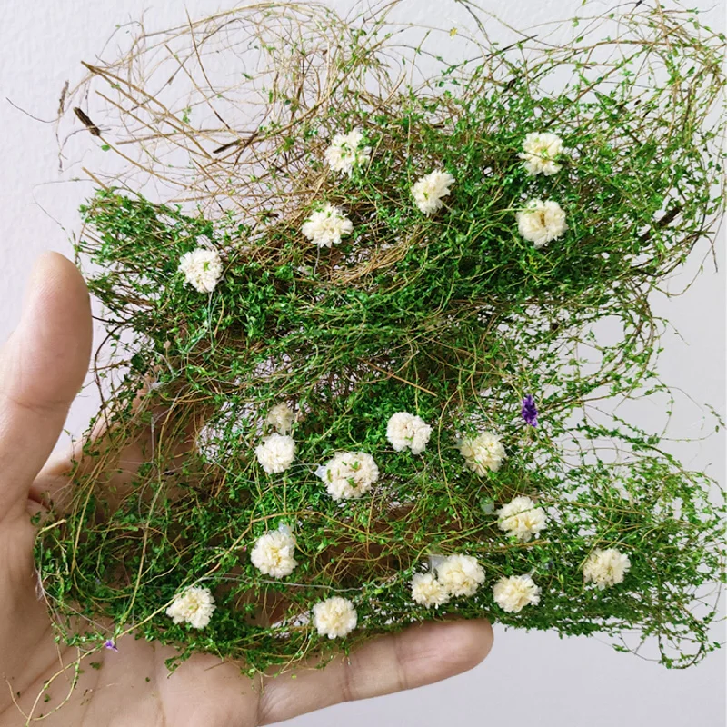 مصغرة محاكاة زهرة الكرمة نموذج نبات العشب لبناء الجدار/السياج الديكور DIY بها بنفسك طاولة الرمل المشهد المواد Diorama عدة #5