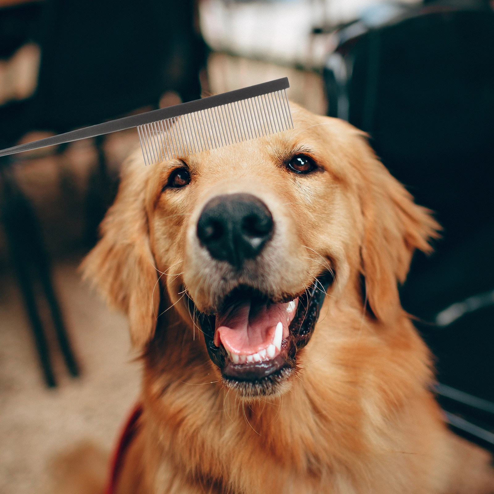 

3Pcs Stainless Steel Pet Grooming Comb Fine Tooth Dog Cat Hair Removal Tool Detangling Shedding Brush for Long Short Coats