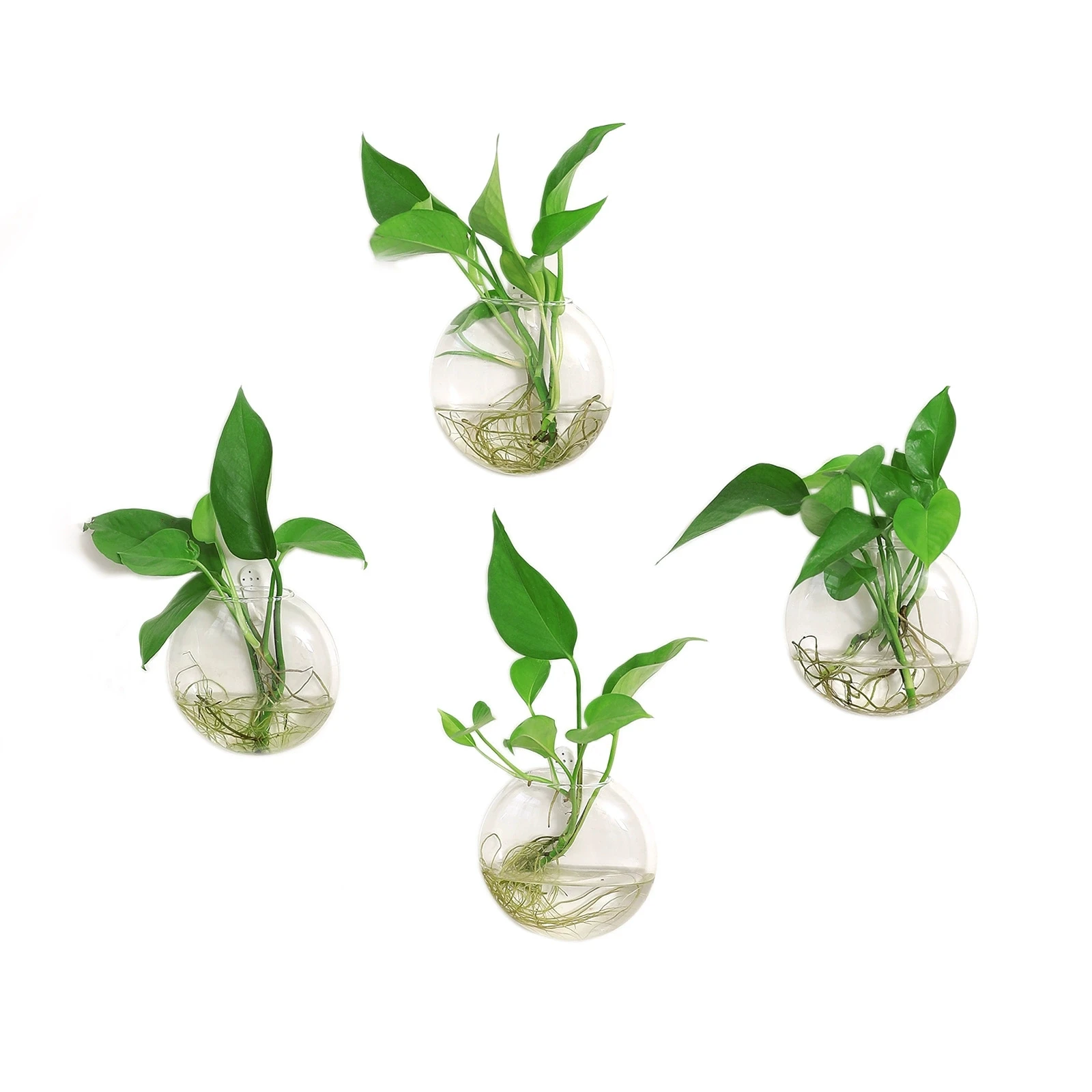 2/4/6/8 Pack Wall Hanging Glass Terrarium - Self-Watering Hydroponic Planter for Home Office Decor, Handmade Round Crystal Vase