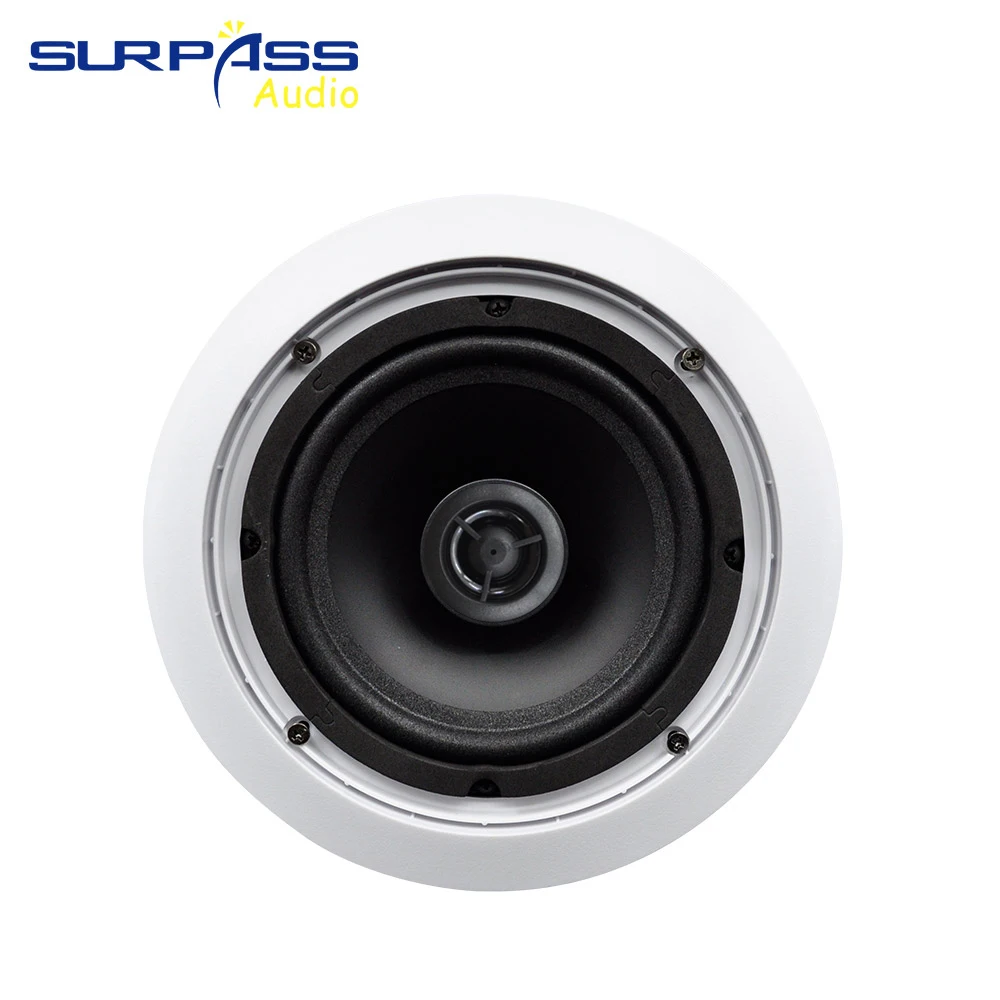 WIFI مكبر صوت نشط وسلبي للسقف مضخم صوت سلكي محوري متوافق مع بلوتوث في زوج فندق منزلي يستخدم التحكم في التطبيق #5