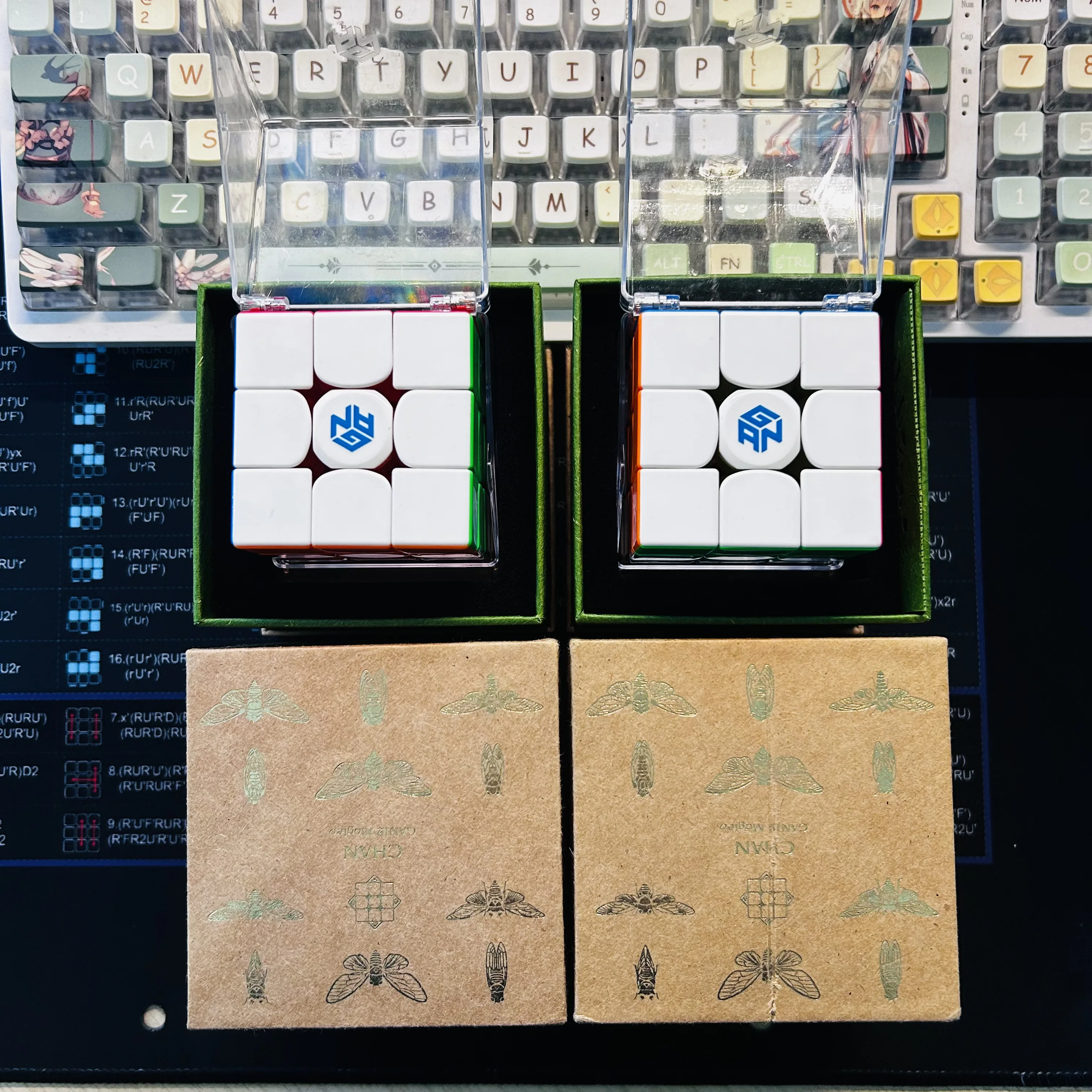 Collezione di cubi Gan12 Maglve 3x3 in edizione limitata Gan 3x3x3 Cubo magico Speedcube Giocattoli puzzle cubo magico professionale