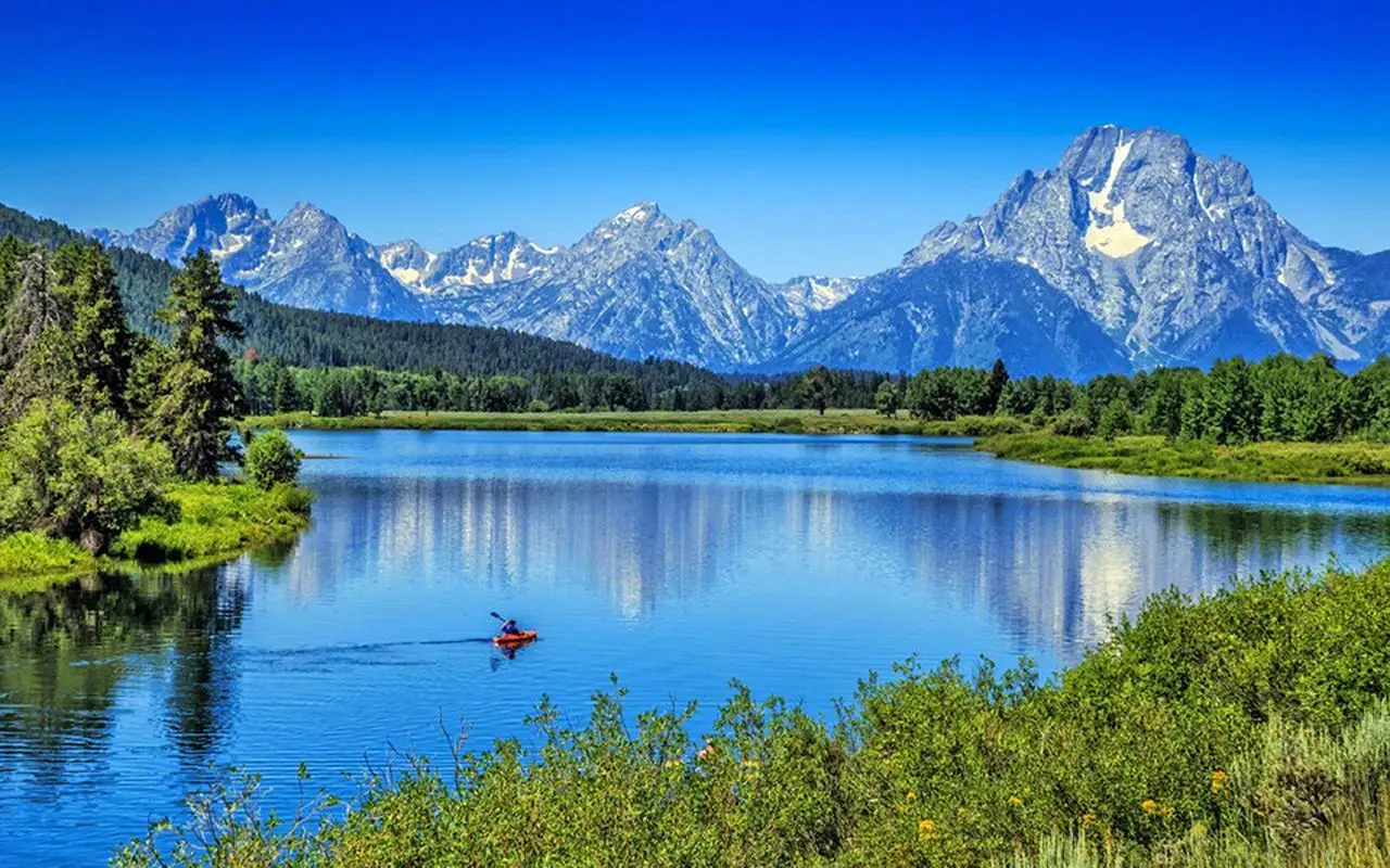 

Classic Game Action Figure Toys PVC Model Collection Gift