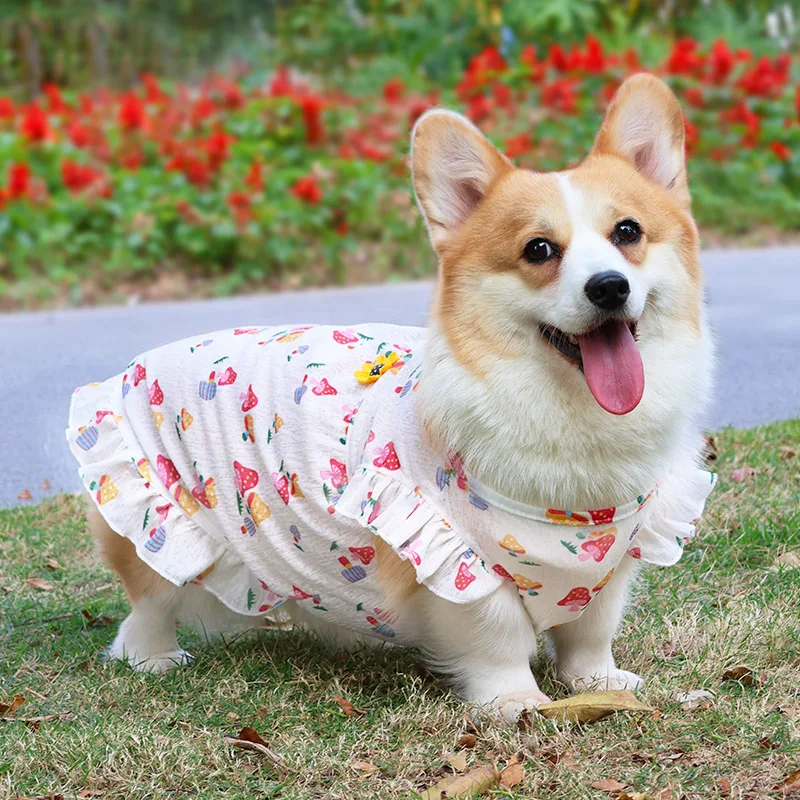 Princ Sle Summer Th…