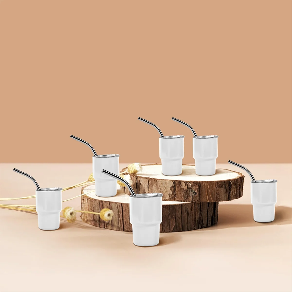 GET! 6PCS Mini 3oz Tumbler Shot Glass with Straw and Lids , Sublimation Double Layer Shot Glasses Set for Drinks, Coffee