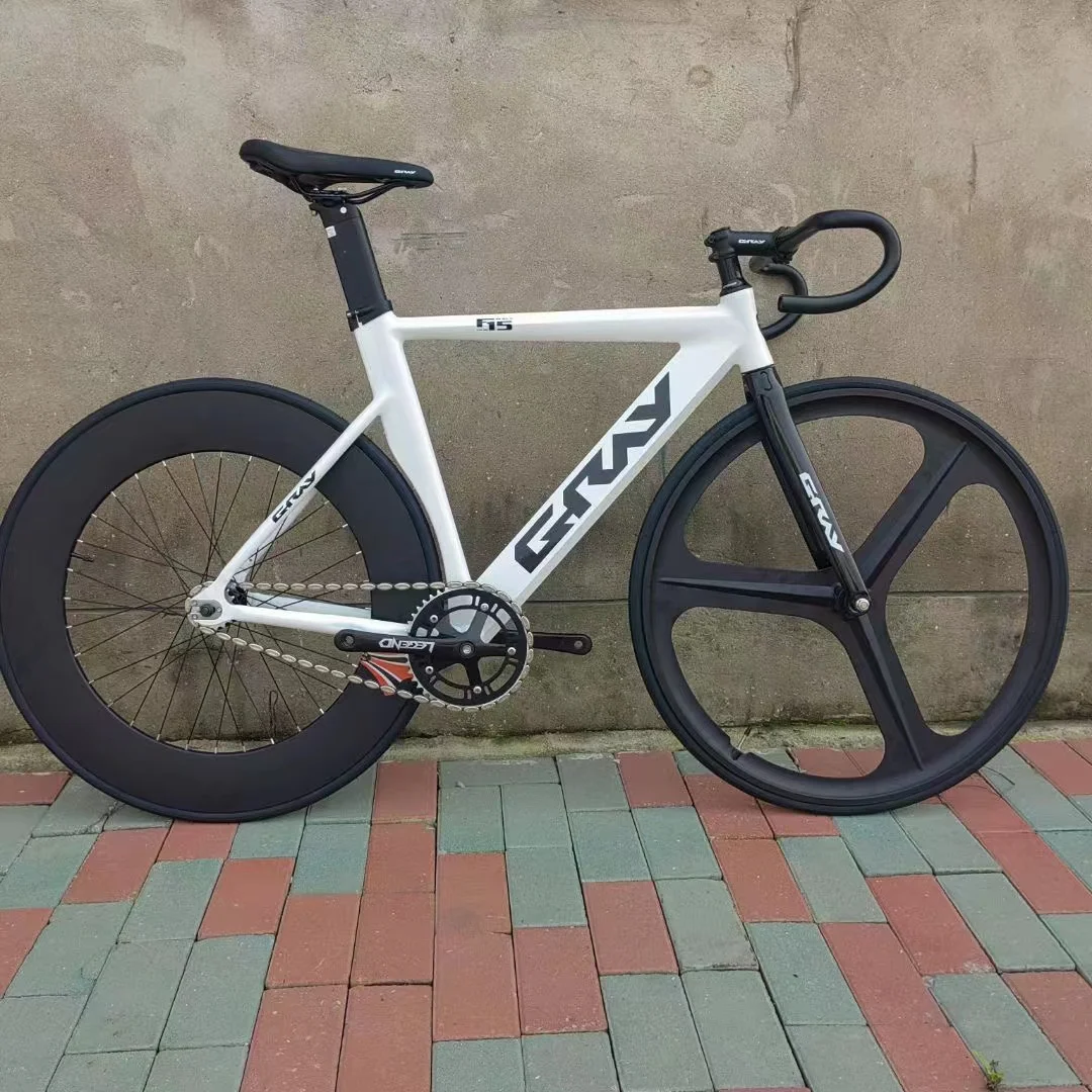 Gray F15 700C Fixed Gear Bike Frame Set