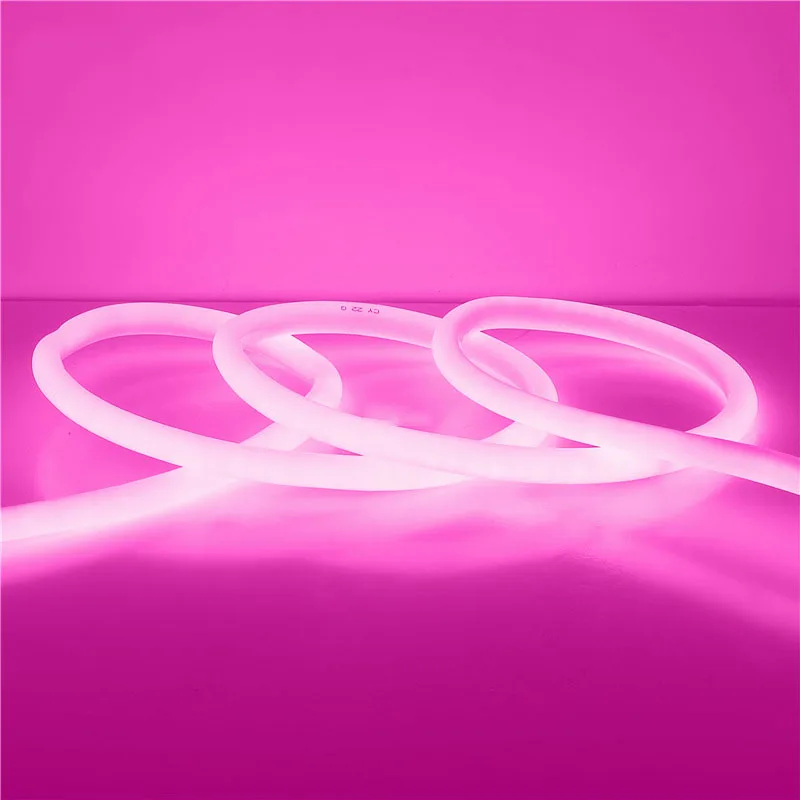 Neon LED Strip 360 Degree Glow AC220V Flexible Neon Light Tube Rope Waterproof IP65 Outdoor Decorative Lighting With Power Plug