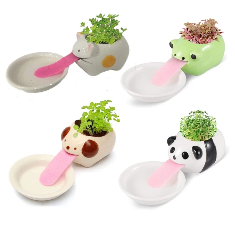 Śliczna świnka/żaba/kot/niedźwiedź/Panda ceramiczna doniczka na kwiaty mała kreskówka soczyste doniczki Bonsai kaktus ozdoba domu doniczki ogrodowe