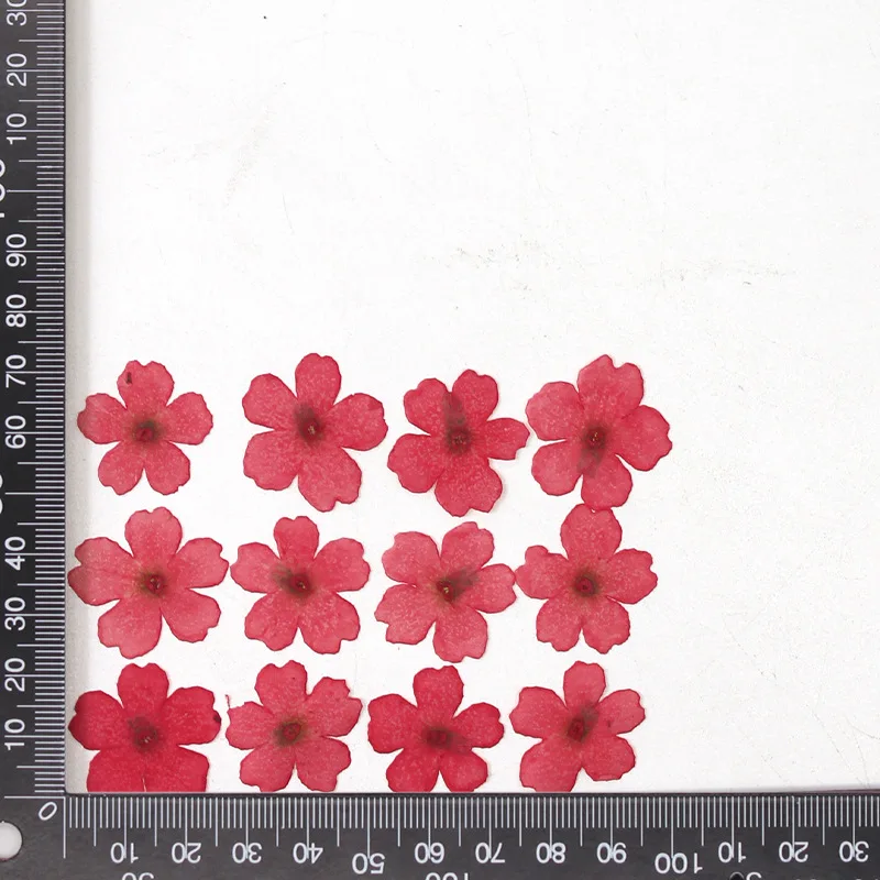 12 Stück, echte getrocknete Blumen, Prägematerialien, DIY-Zubehör für Epoxidharz, für Handyhüllen, Nagelkunst, Gesichtsaufkleber, handgefertigte Dekoration – Detail 23