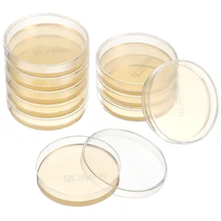 10 Pcs Liquid Mushroom Nutrient Agar Plate Child Come Kit Analysis Petri Dishes Tissue Culture Plates