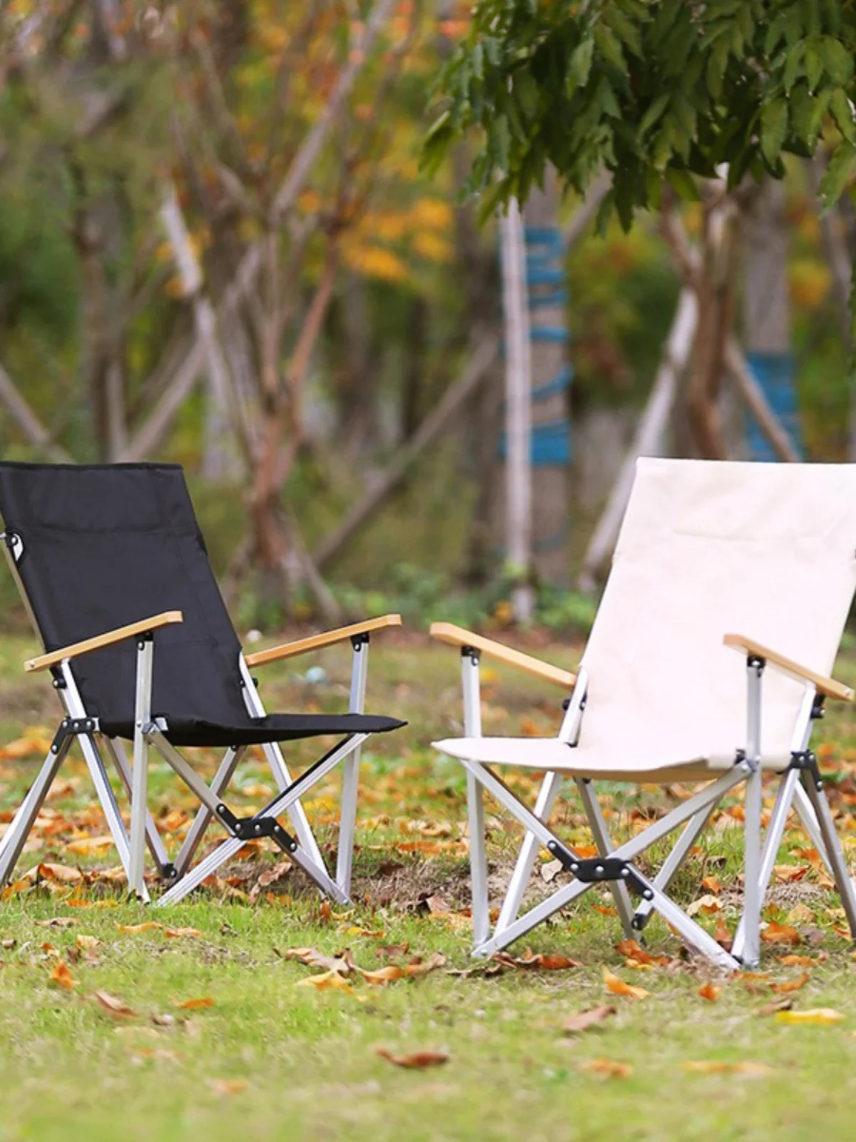 

Exquisite Folding Leisure Outdoor Chairs, Aluminum Alloy Gathering Chairs, Park, Camping,L161