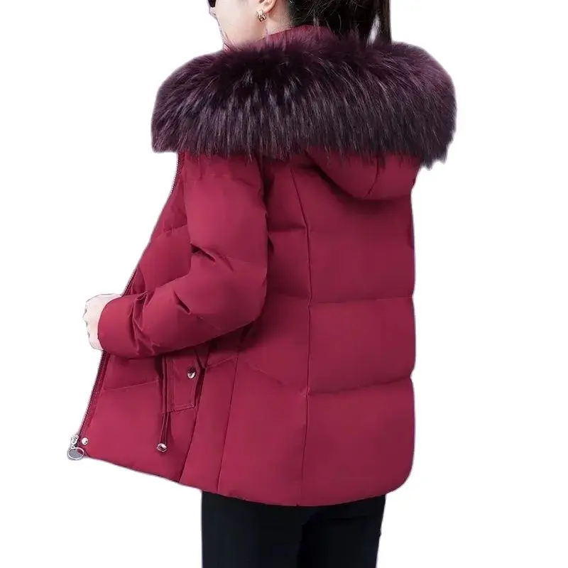 New Winter Short Hooded Down Cotton-Padded Jacket Zipper Hooded Coat Ladies Big Collar Thickened Warm Casual Fashion Outcoat