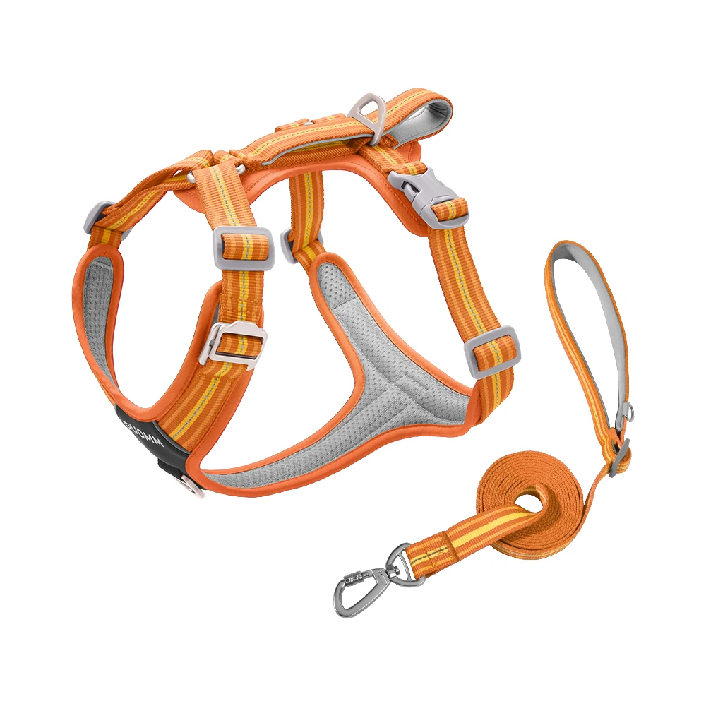 Wear-resistant Dog Harness & Leash Set, Reflective Nylon Anti Pull Pet Harness, Quick Buckle Soft Padding for Outdoor Walking