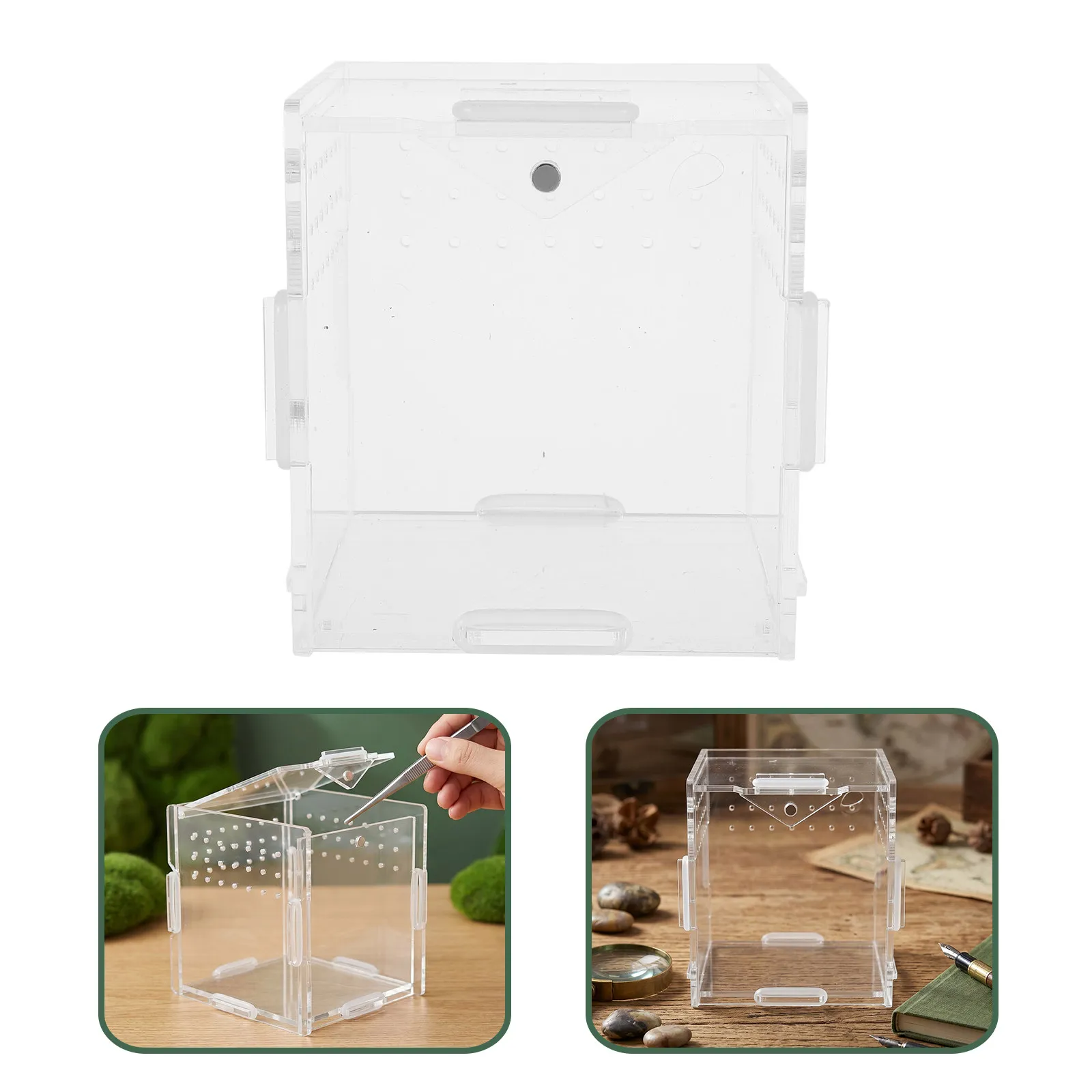 Acrylic Transparent Breeding Box Reptile Enclosure Ventilated Spider Habitat Tarantula Frog Container Clear Insect Terrarium