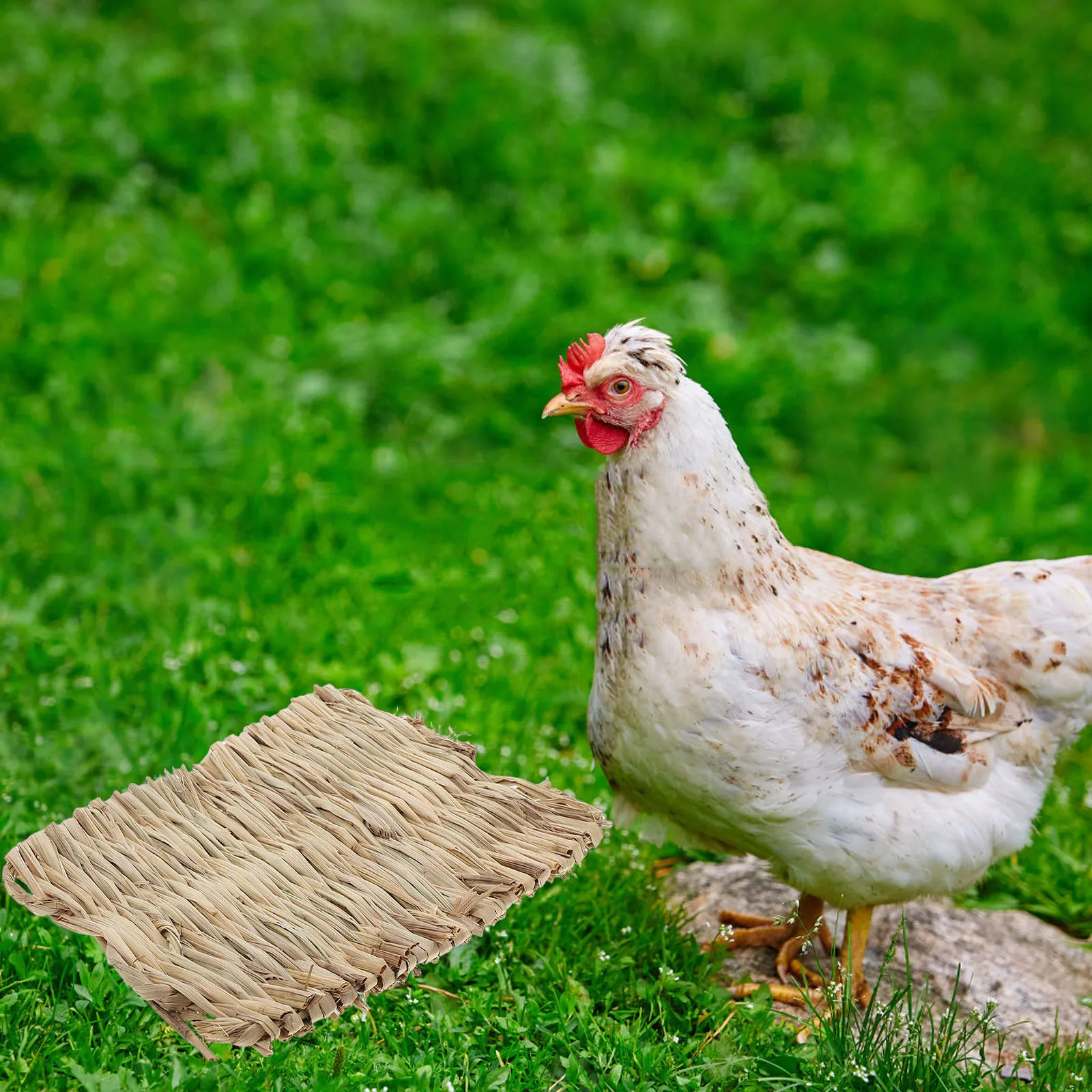 

4Pcs Natural Grass Mats for Rabbits Birds Nesting Bedding Foraging Pad Rabbit Scratch Mat Washable Cage Liner Small Animal