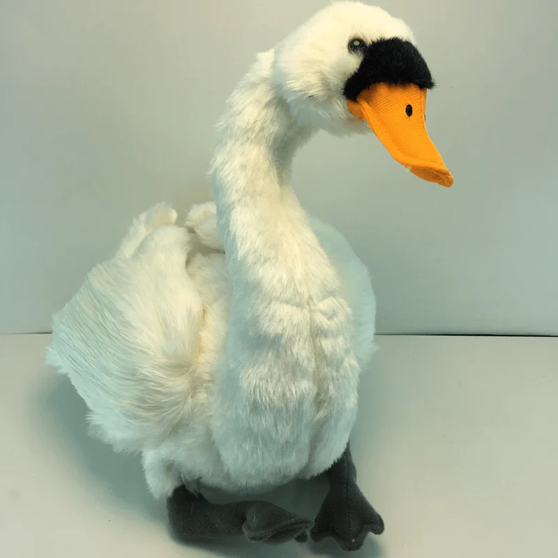 gift model   white  swan