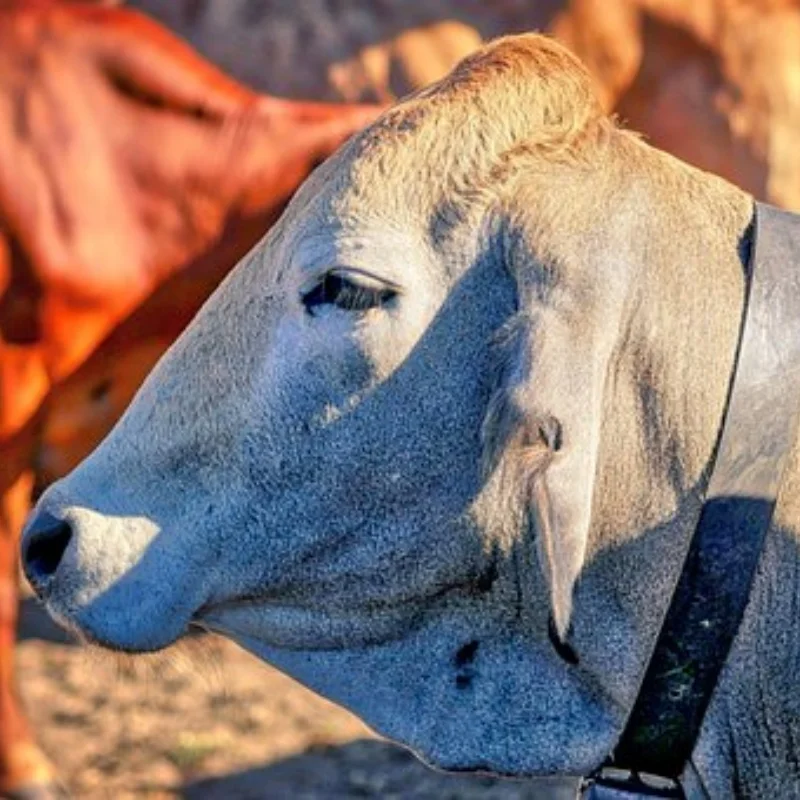 

ДЛЯ WLtoys 144016 144018, радиоуправляемый пульт дистанционного управления, автомобильные детали, металлическое обновление, поворотный рычаг, рулевая тяга, комплект рулевой чашки