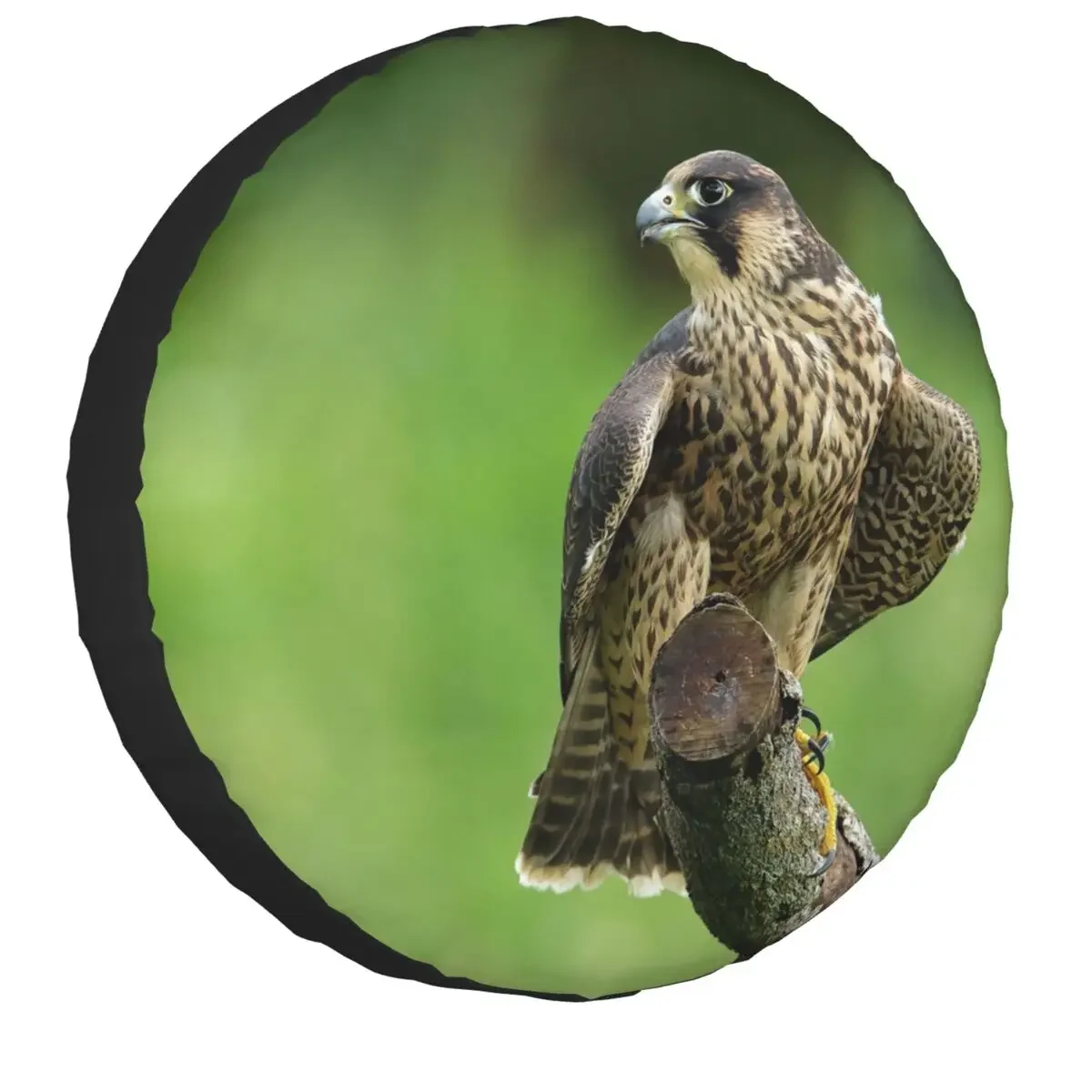 Custom Funny Peregrine Falcon Bird Spare Tire Cover for Mitsubishi Pajero 4WD 4x4 SUV Car Wheel Protector 14