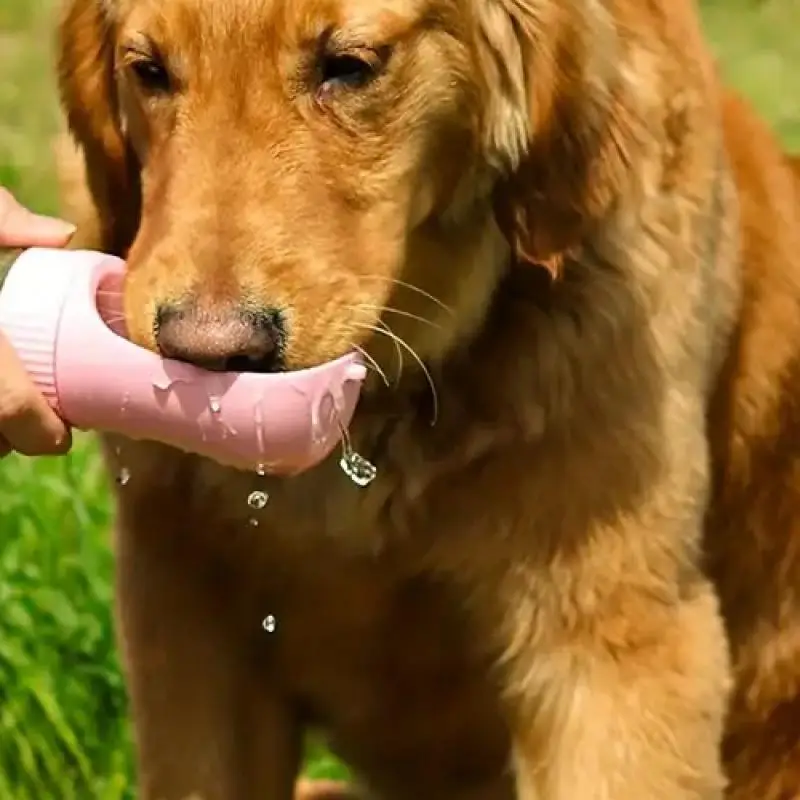 

Leak-Proof Dog Water Bottle & Food Container, Portable Outdoor Feeding Solution for Dogs, Easy-Clean Design for Active Pets