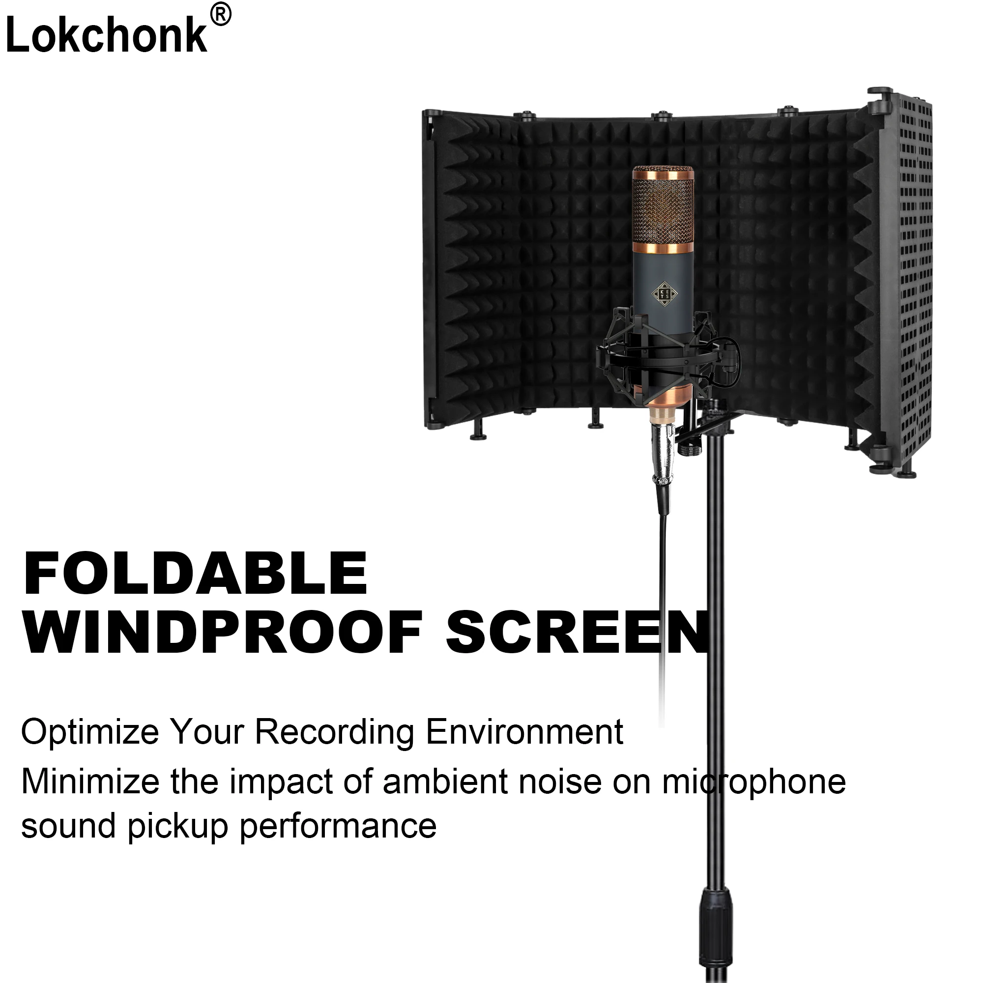 5-Panel Microphone Isolation Shield, Acoustic Reflection Filter for Studio Recording, Fits All Condenser Mics
