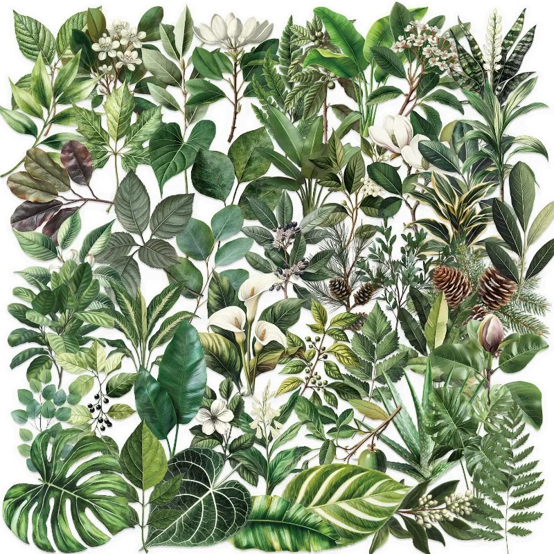 

50pcs Cartoon Personality Green Plant Leaves PET Creative Graffiti Decorative Decorative Stickers