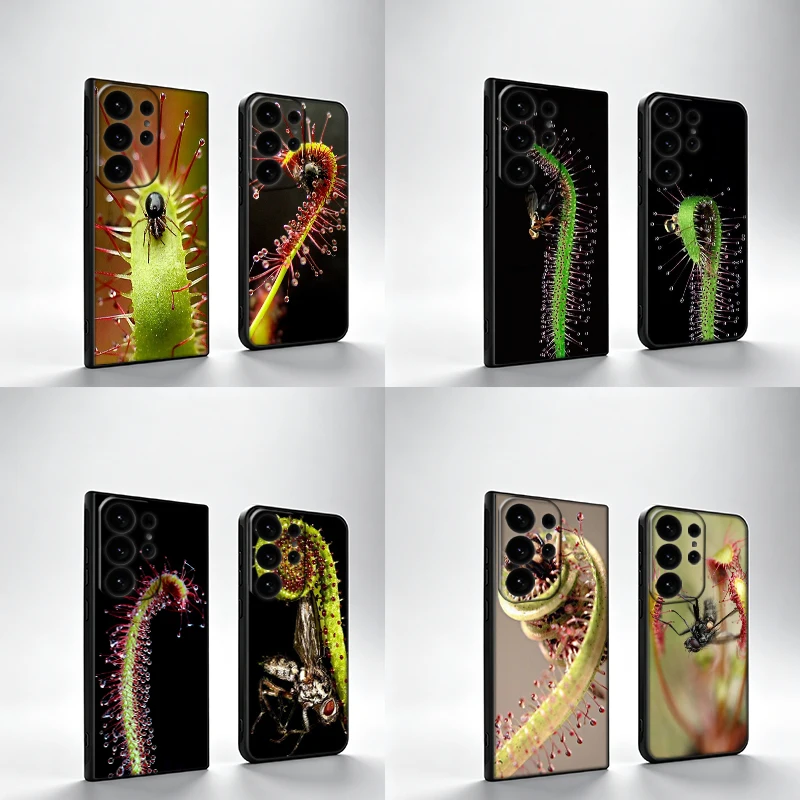 Carnivorous Sundew Plan Phone Case For Samsung S25Edge S26FE Galaxy S22 S25 S24 S26 Ultra S21 S23 S20 Plus Cover Black Shell Coq