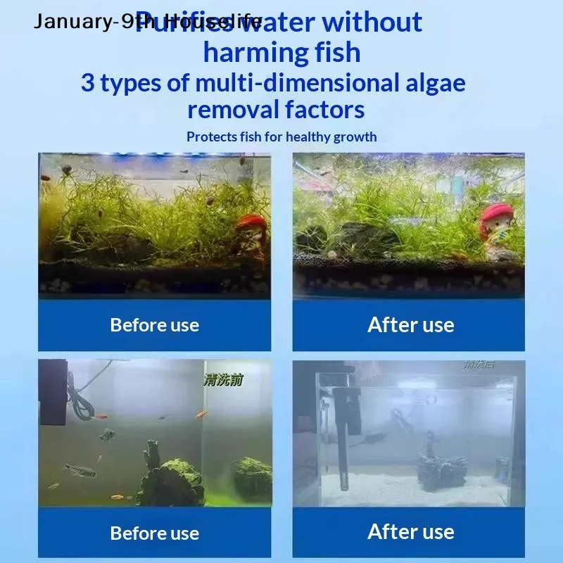 1/2/3 ボトル水族館藻類クリーナー錠剤グリーンブルーブラ - Aquarium Fish Green のレビューと価格