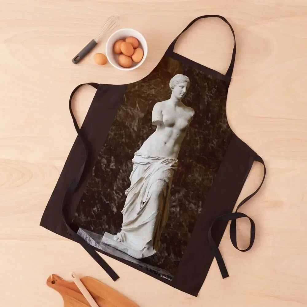 

Venus de Milo Apron Waterproof women christmas kitchen Kitchen For Men Salon Apron