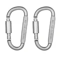 D-2 Silver
