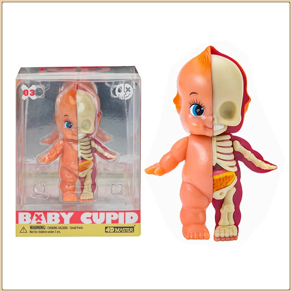 

4D Master Baby Cupid половина анатомии мультяшная кукла модель модная игрушка украшение для рабочего стола орнамент детские рождественские креативные подарки