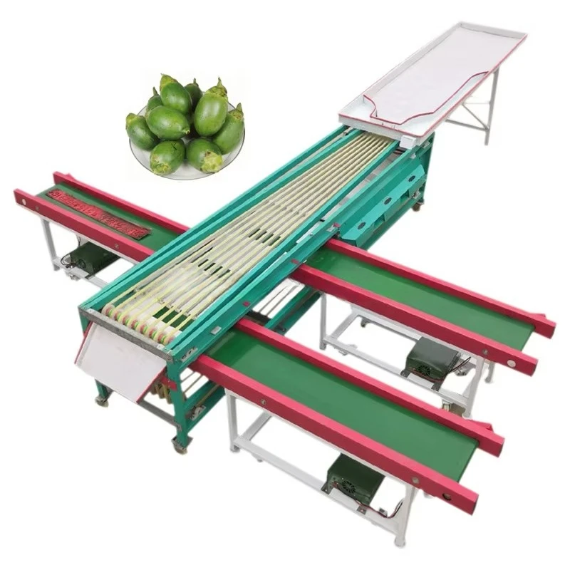 Fruit Size Sorting Olive Avocado Citrus Dates Jujube Grading Machine Vegetable Sorter Potato Taro Tomato Grader Price Customized