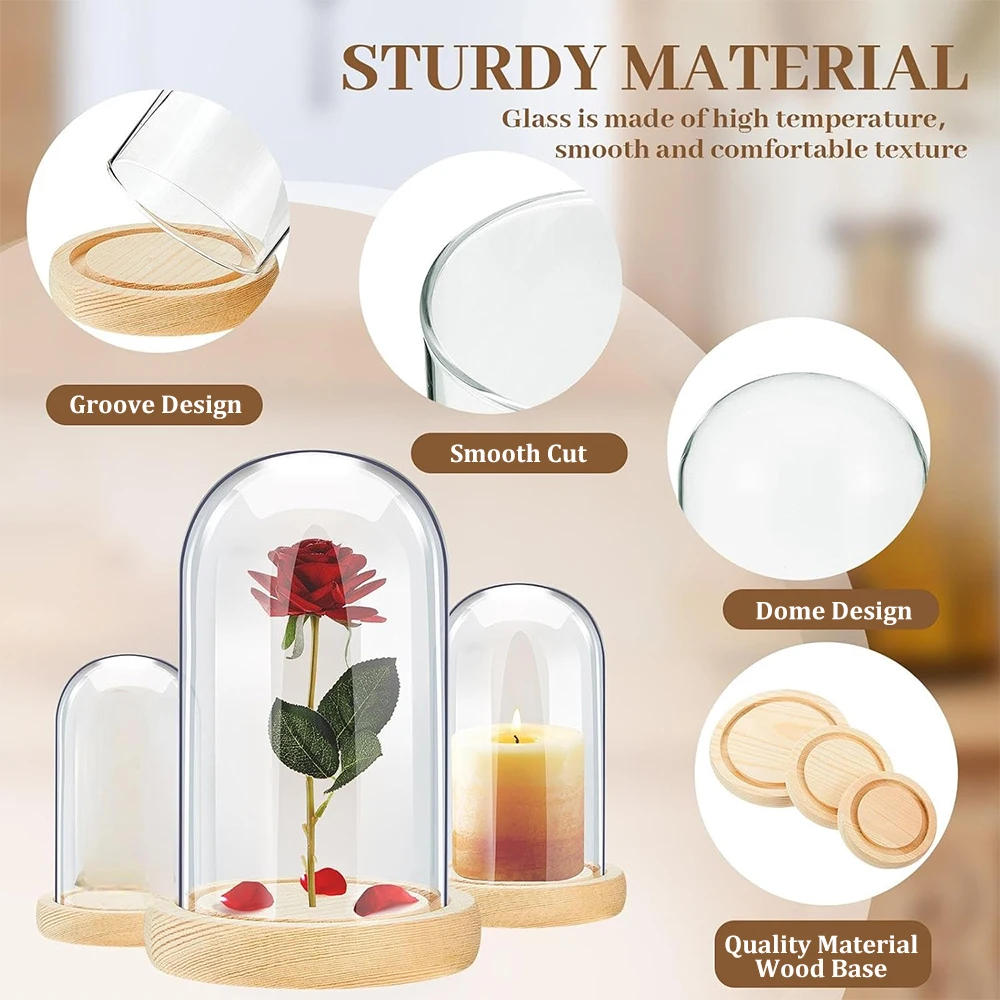 Clear Glass Dome Cloche with Solid Wood Base A Display Jar for Dining Table Centerpieces and Home Office Wedding Decors