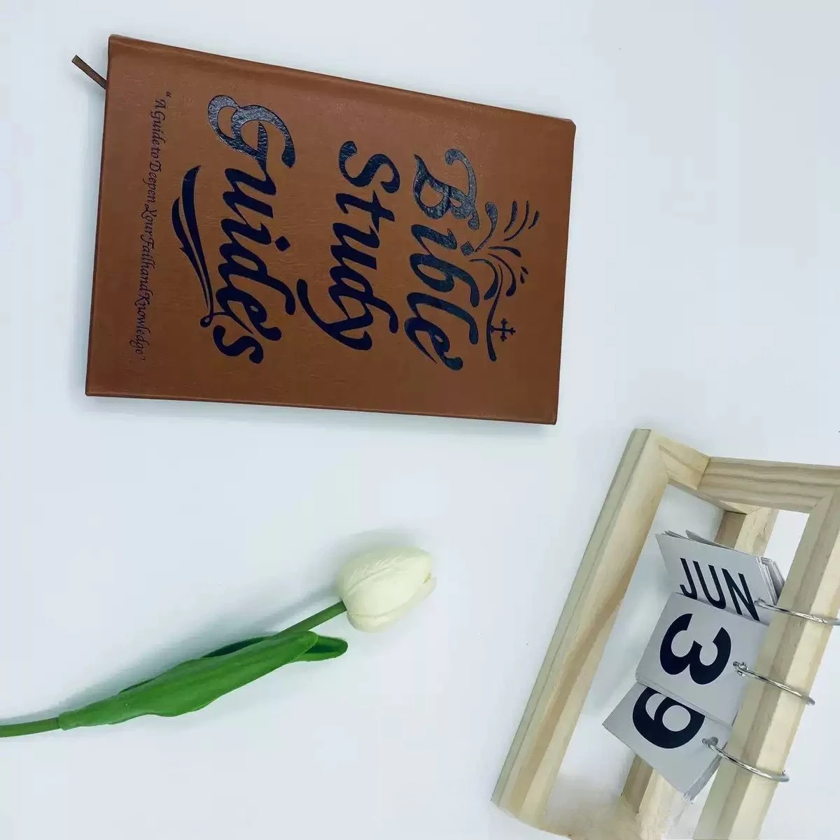 دليل ملخص كتاب الكتاب المقدس