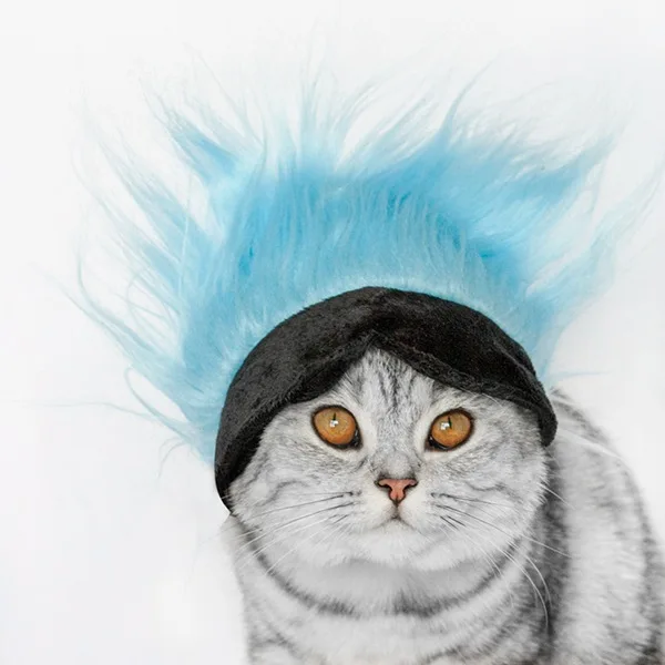 Simple Casual Pet Polyester Wig Headgear Cat Funny Solid Color Wig Cat Eye Mask Hat Pet Dog Party Hat