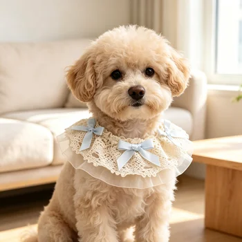 Cute Lace Pet Water Scarf 1